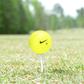 Used Nike PD Long Yellow Golf Balls - 1 Dozen