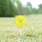 Used TaylorMade Yellow Mix Golf Balls - 1 Dozen