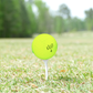 Used Vice Green Mix Golf Balls - 1 Dozen